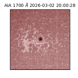 saia - 2026-03-02T20:00:28.717000