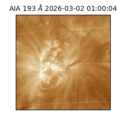 saia - 2026-03-02T01:00:04.843000