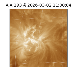 saia - 2026-03-02T11:00:04.843000