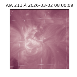 saia - 2026-03-02T08:00:09.626000