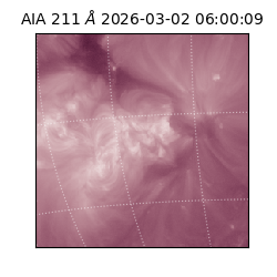 saia - 2026-03-02T06:00:09.630000
