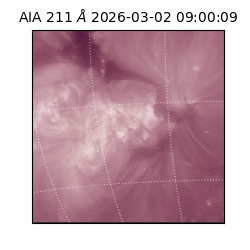 saia - 2026-03-02T09:00:09.626000