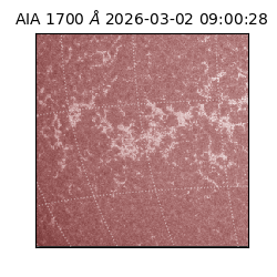 saia - 2026-03-02T09:00:28.710000