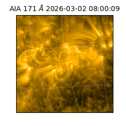 saia - 2026-03-02T08:00:09.350000