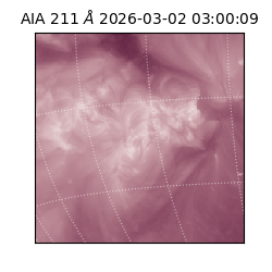 saia - 2026-03-02T03:00:09.626000