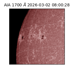 saia - 2026-03-02T08:00:28.709000