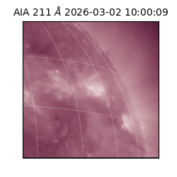 saia - 2026-03-02T10:00:09.632000