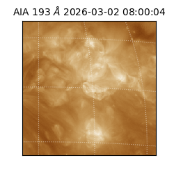 saia - 2026-03-02T08:00:04.843000