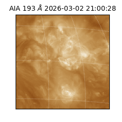 saia - 2026-03-02T21:00:28.843000