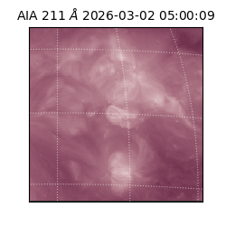 saia - 2026-03-02T05:00:09.626000