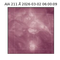 saia - 2026-03-02T06:00:09.630000