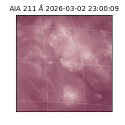 saia - 2026-03-02T23:00:09.626000