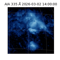 saia - 2026-03-02T14:00:00.625000