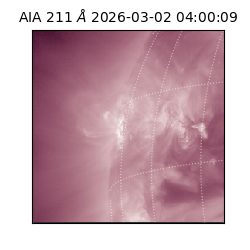 saia - 2026-03-02T04:00:09.626000