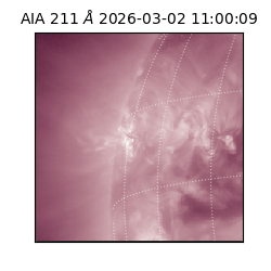 saia - 2026-03-02T11:00:09.625000