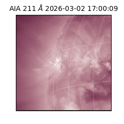 saia - 2026-03-02T17:00:09.626000