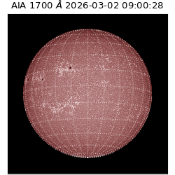 saia - 2026-03-02T09:00:28.710000