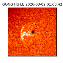 gong - 2026-03-02T01:00:42