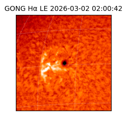 gong - 2026-03-02T02:00:42