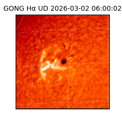 gong - 2026-03-02T06:00:02