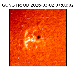 gong - 2026-03-02T07:00:02