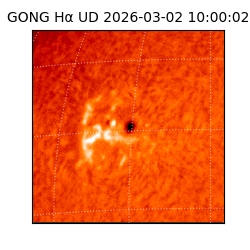 gong - 2026-03-02T10:00:02