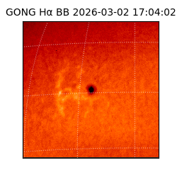 gong - 2026-03-02T17:04:02