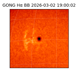 gong - 2026-03-02T19:00:02