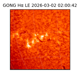 gong - 2026-03-02T02:00:42