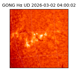 gong - 2026-03-02T04:00:02