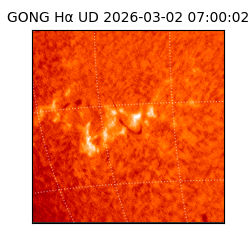 gong - 2026-03-02T07:00:02