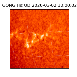 gong - 2026-03-02T10:00:02