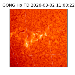 gong - 2026-03-02T11:00:22