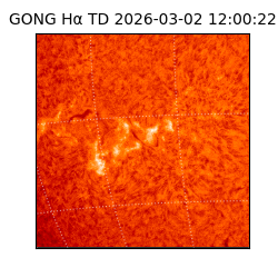 gong - 2026-03-02T12:00:22