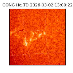 gong - 2026-03-02T13:00:22