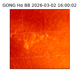 gong - 2026-03-02T16:00:02