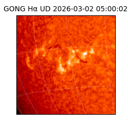 gong - 2026-03-02T05:00:02