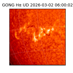 gong - 2026-03-02T06:00:02