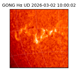 gong - 2026-03-02T10:00:02