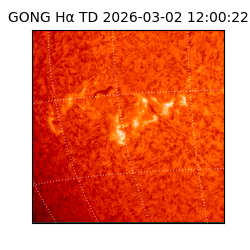 gong - 2026-03-02T12:00:22