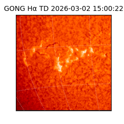 gong - 2026-03-02T15:00:22