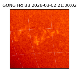 gong - 2026-03-02T21:00:02