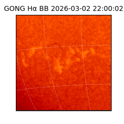 gong - 2026-03-02T22:00:02