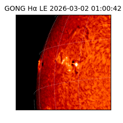 gong - 2026-03-02T01:00:42
