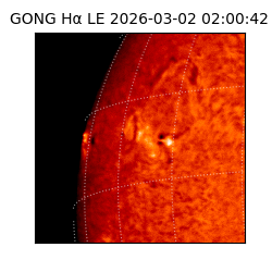 gong - 2026-03-02T02:00:42