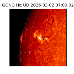 gong - 2026-03-02T07:00:02
