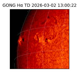 gong - 2026-03-02T13:00:22