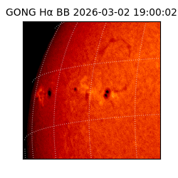 gong - 2026-03-02T19:00:02