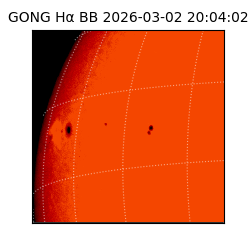 gong - 2026-03-02T20:04:02