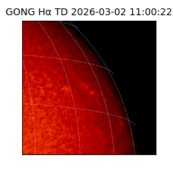 gong - 2026-03-02T11:00:22
